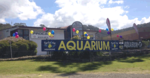 Fantasea Aquariums West Gosford