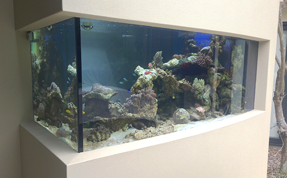 In Wall Mounted Aquariums Fantasea - Wall Fish Tanks Australia